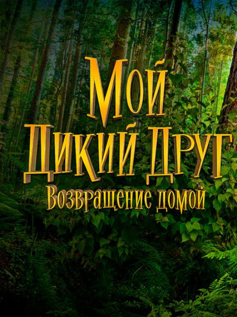 Мой дикий друг. Возвращение домой (2026)